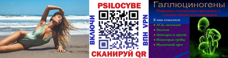 Псилоцибиновые грибы Psilocybine cubensis  Белинский 