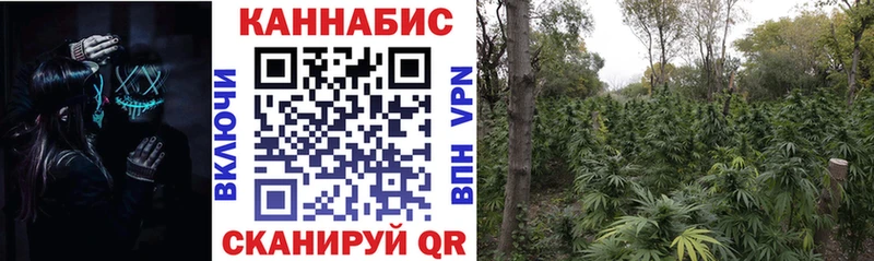 Марихуана SATIVA & INDICA  даркнет телеграм  Белинский  даркнет сайт 